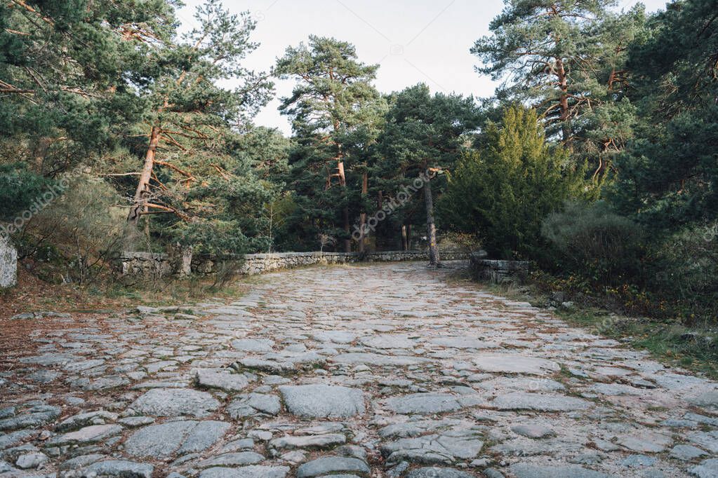 Persone durante una passeggiata culturale in un’area naturale